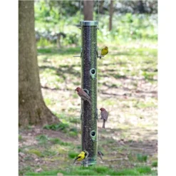 Droll Yankees® Classic B-Series Tube Bird Feeder - 4 Lb