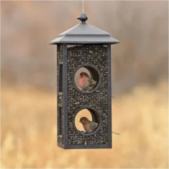 Perky-Pet® Fly-Thru Wild Bird Feeder