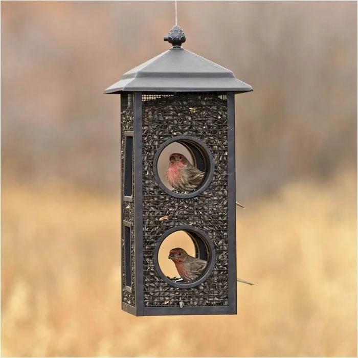 Perky-Pet® Fly-Thru Wild Bird Feeder