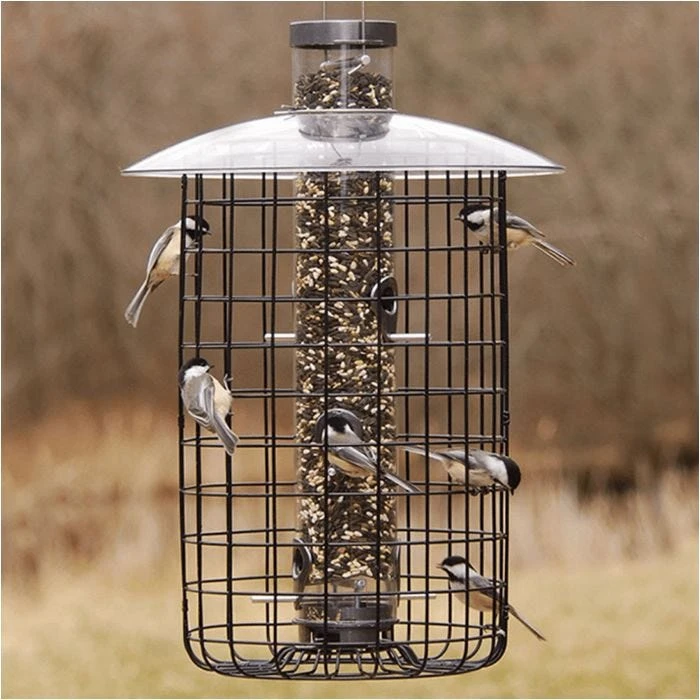 Droll Yankees® B-Series Caged Squirrel-Proof Bird Feeder - 2.5 Lb