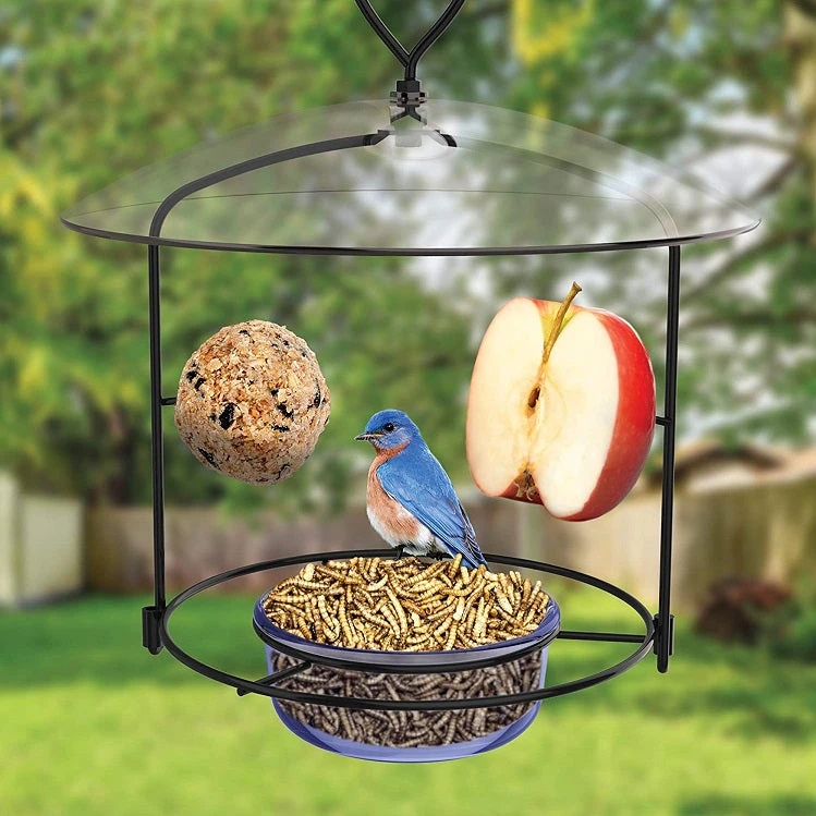 Nature's Way® Bluebird Buffet Birdfeeder - Image 7