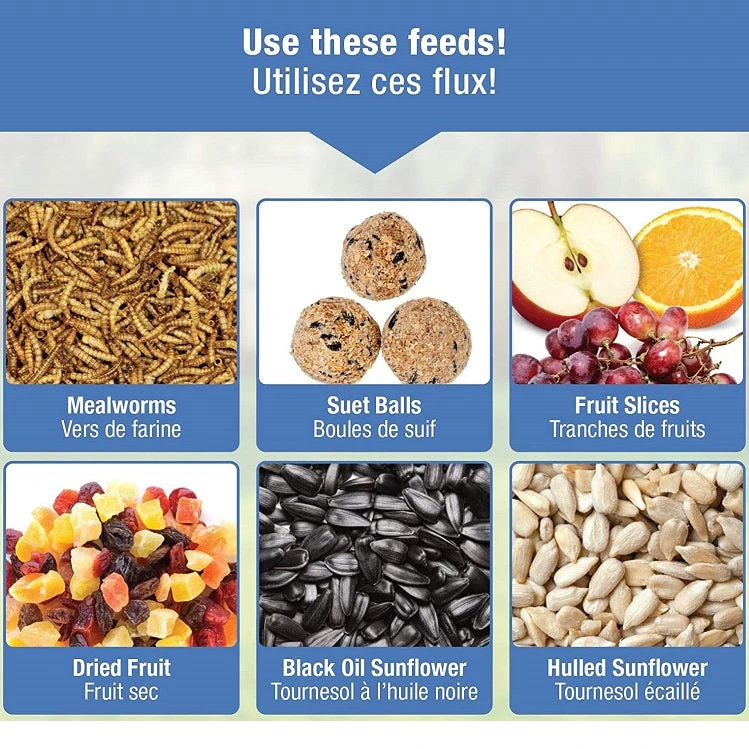 Nature's Way® Bluebird Buffet Birdfeeder - Image 5