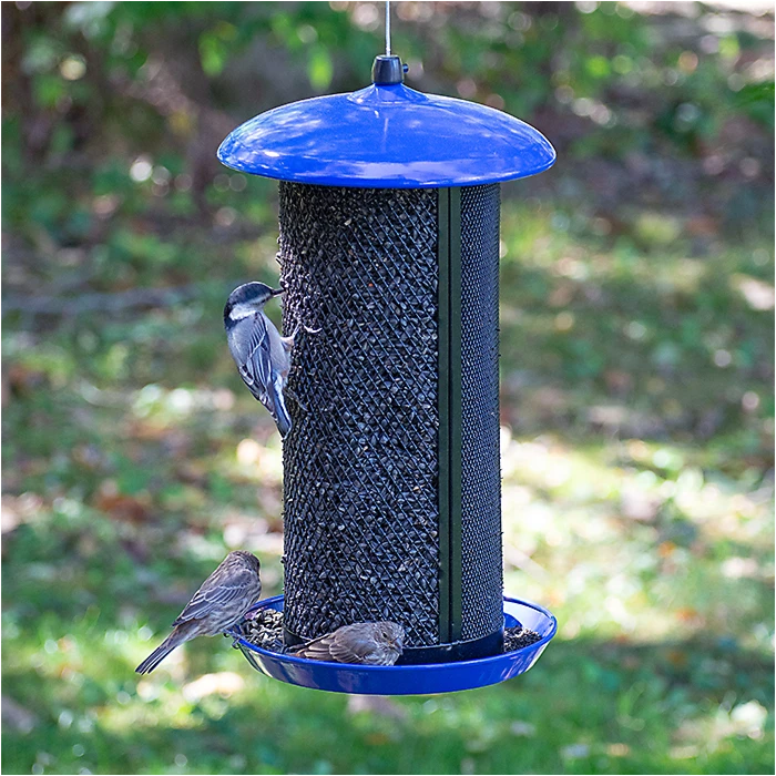 Perky-PetĀ® Large Dual Mesh Seed Feeder Cobalt Blue