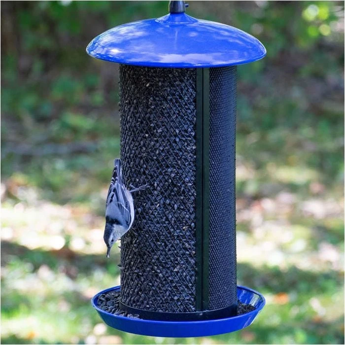 Perky-PetĀ® Large Dual Mesh Seed Feeder Cobalt Blue - Image 10