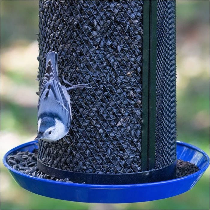 Perky-PetĀ® Large Dual Mesh Seed Feeder Cobalt Blue - Image 12