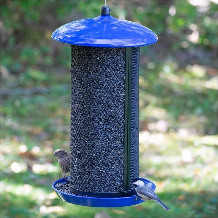 Perky-PetĀ® Large Dual Mesh Seed Feeder Cobalt Blue - Image 14