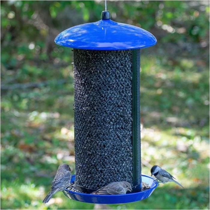 Perky-PetĀ® Large Dual Mesh Seed Feeder Cobalt Blue - Image 15