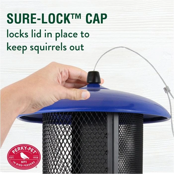 Perky-PetĀ® Large Dual Mesh Seed Feeder Cobalt Blue - Image 6