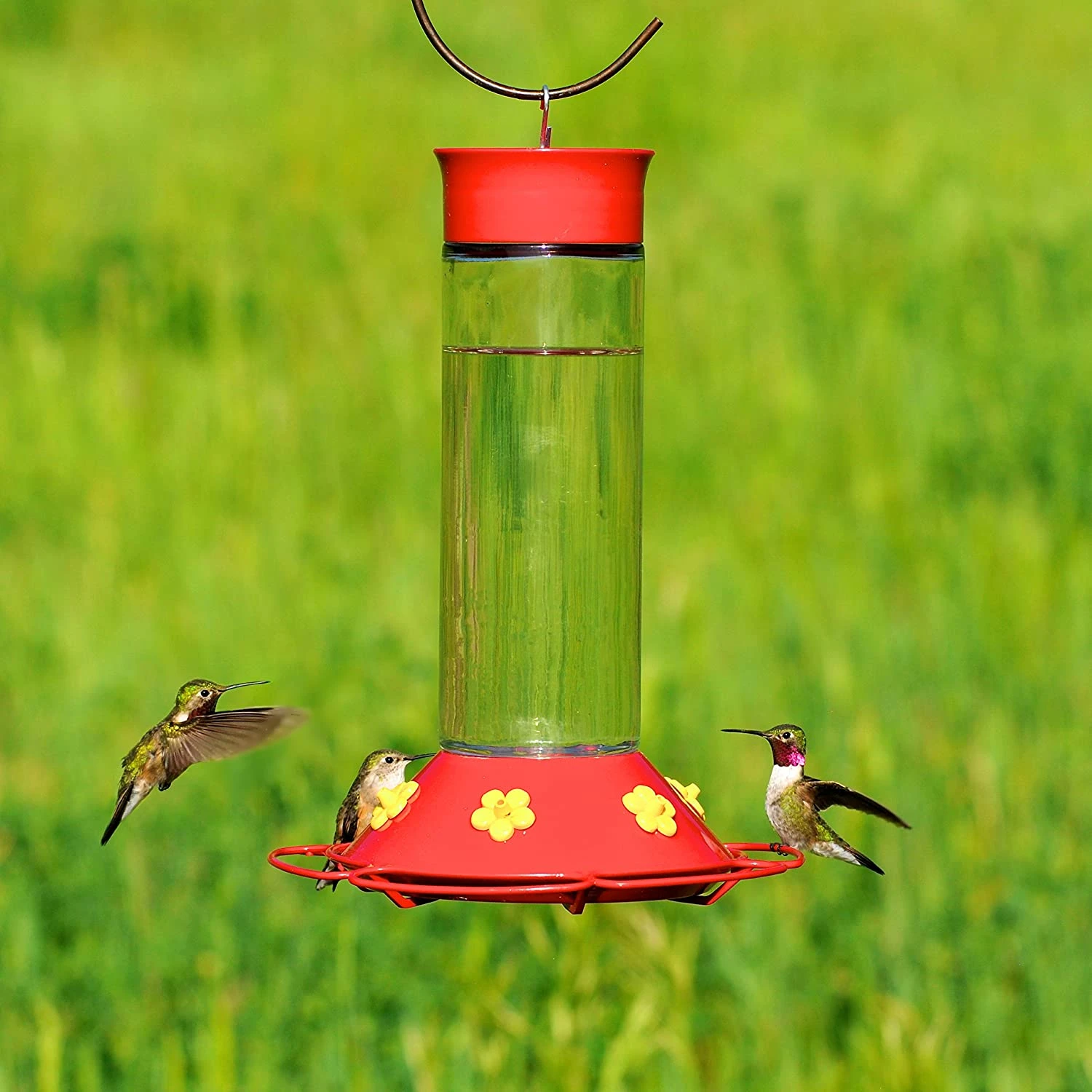 Perky Pet "Our Best" Hummingbird Feeder #209B - Image 2