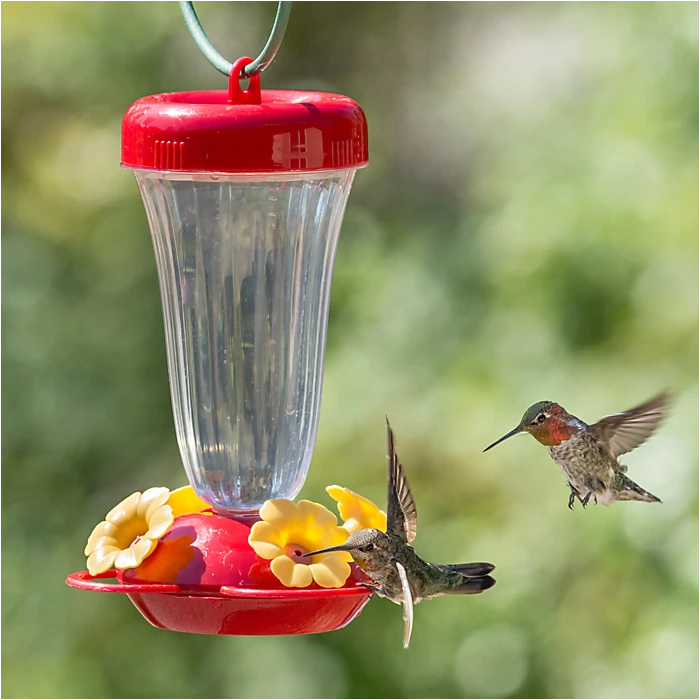 Perky-Pet® Yellow Petunia Top Fill Plastic Hummingbird Feeder - Image 7