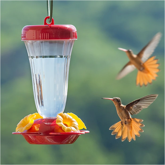 Perky-Pet® Yellow Petunia Top Fill Plastic Hummingbird Feeder - Image 8