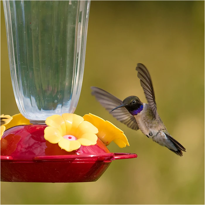 Perky-Pet® Yellow Petunia Top Fill Plastic Hummingbird Feeder - Image 2