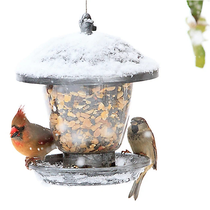 Perky-PetĀ® Holly Berry Gilded Chalet Wild Bird Feeder - Image 9