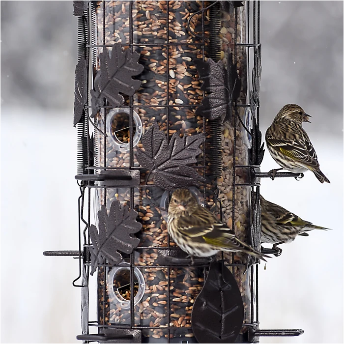 Perky-Pet® Squirrel-Be-Gone® III Wild Bird Feeder - Image 7