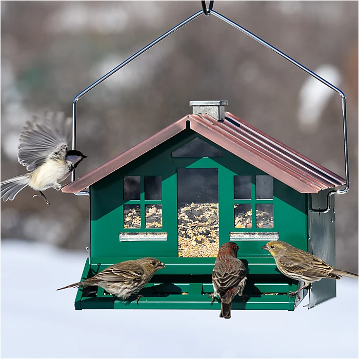 Perky-PetĀ® Squirrel-Be-Gone II Home Style Wild Bird Feeder - Image 11