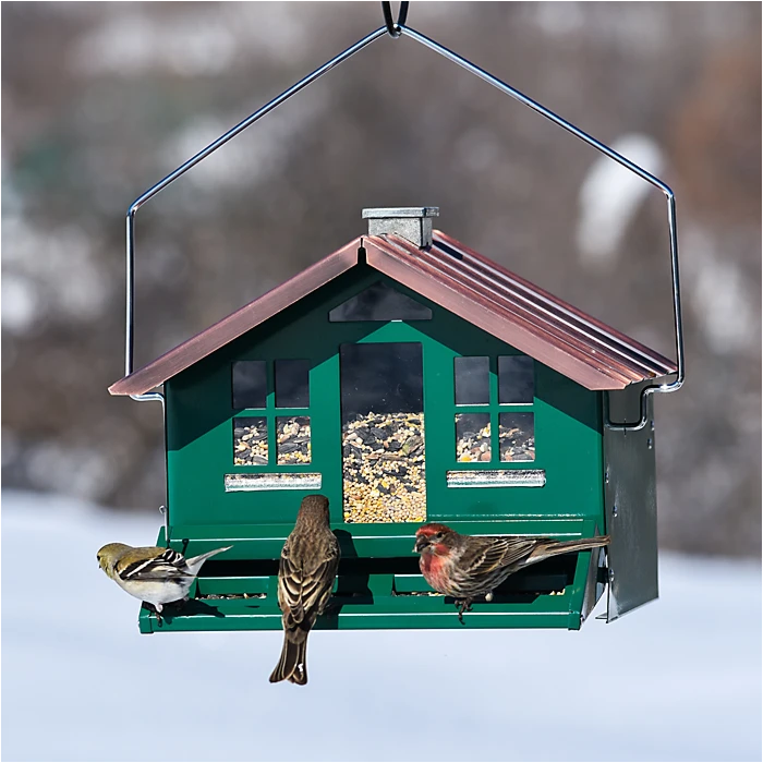 Perky-PetĀ® Squirrel-Be-Gone II Home Style Wild Bird Feeder - Image 12