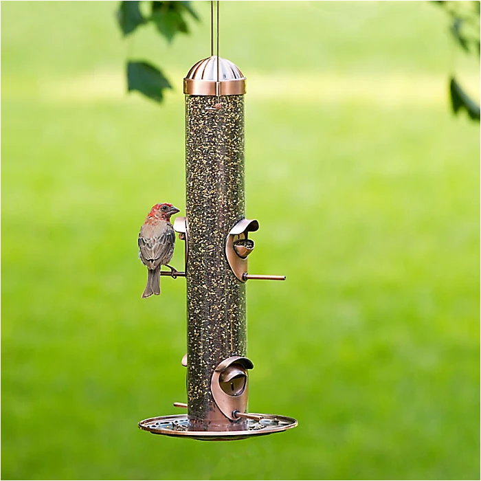 Perky-Pet® Copper Finish 2-in-1 Wild Bird Feeder - Image 4