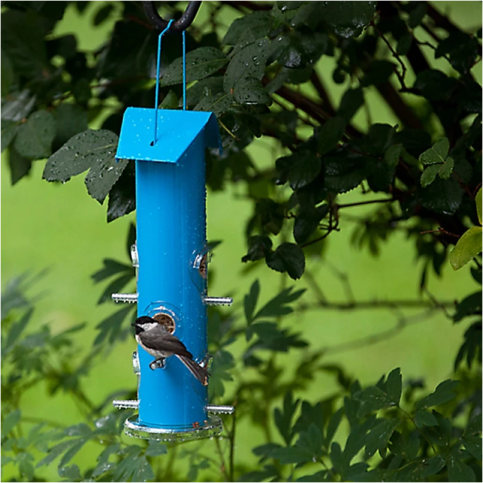 Perky-PetĀ® Blue Metal Tube Wild Bird Feeder - Image 9