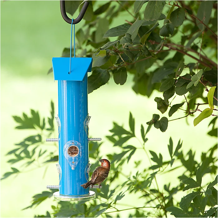 Perky-PetĀ® Blue Metal Tube Wild Bird Feeder - Image 10