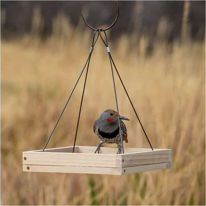 Perky-PetĀ® Hanging Tray Bird Feeder - Image 4