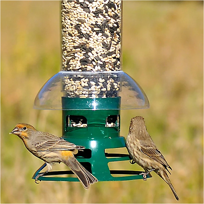 Perky-Pet® Squirrel Slammer Wild Bird Feeder - Image 10