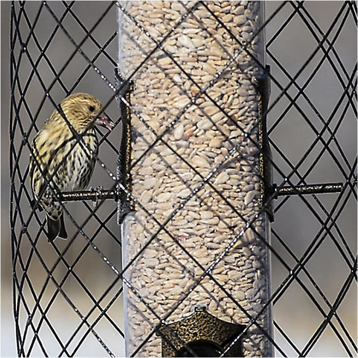 Perky-Pet® The Preserve Wild Bird Feeder - Image 2