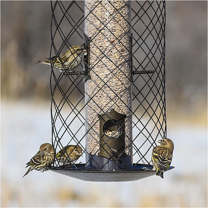 Perky-Pet® The Preserve Wild Bird Feeder - Image 9