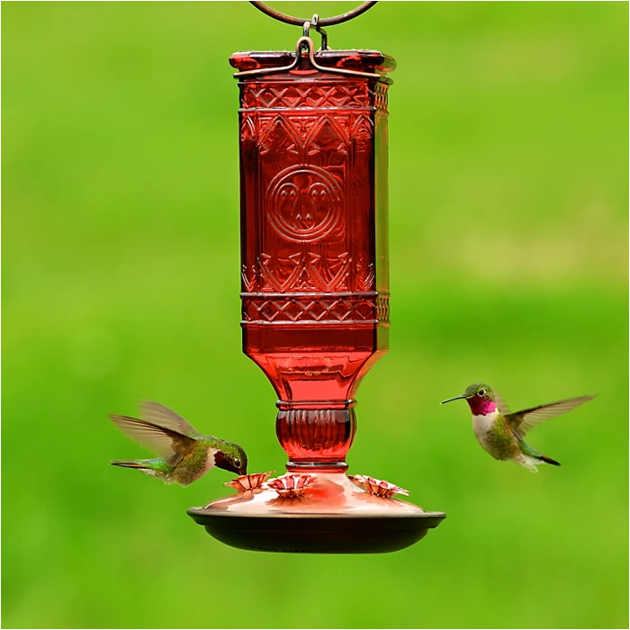Perky-Pet® Red Square Antique Glass Bottle Hummingbird Feeder