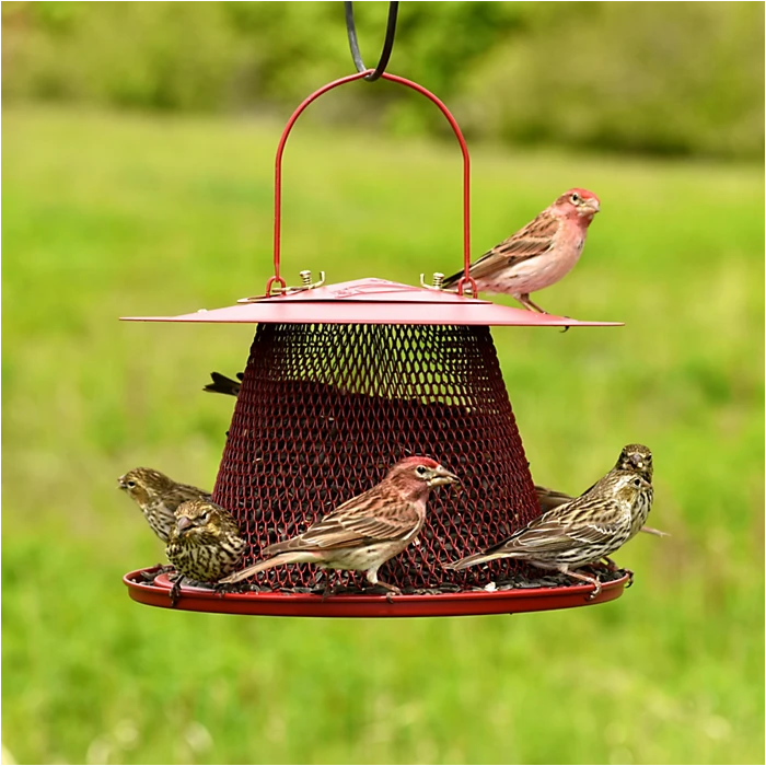 Perky-Pet® Red Cardinal Wild Bird Feeder
