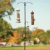 Panacea Basic 2-Way Bird Feeding Station Kit 89143