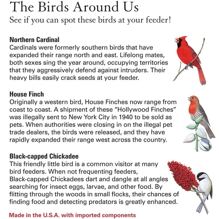 Mini-Magnum Metal Screen Sunflower Feeder - Image 3