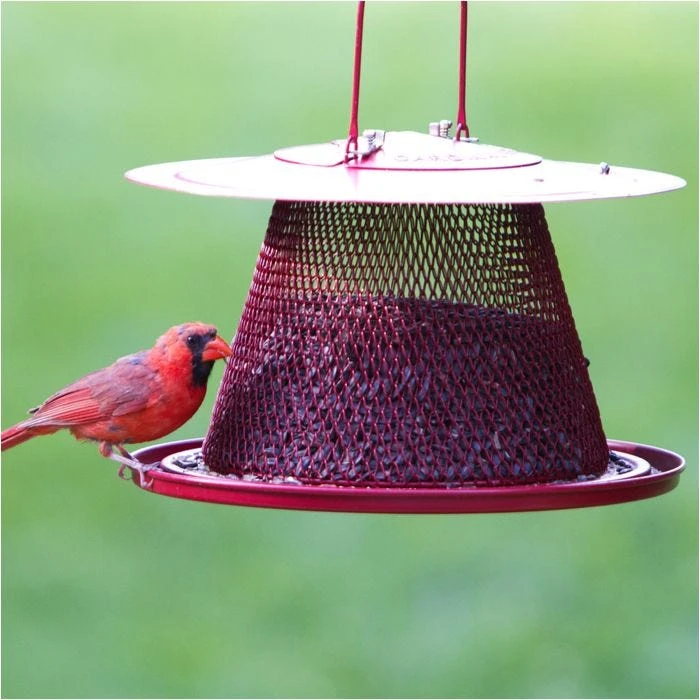 Perky-Pet® Red Cardinal Wild Bird Feeder - Image 10