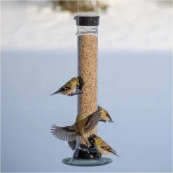 Droll Yankees® Onyx Clever Clean & Fill® Sunflower Tube Bird Feeder - 2 Lb