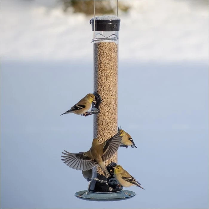 Droll Yankees® Onyx Clever Clean & Fill® Sunflower Tube Bird Feeder - 2 Lb