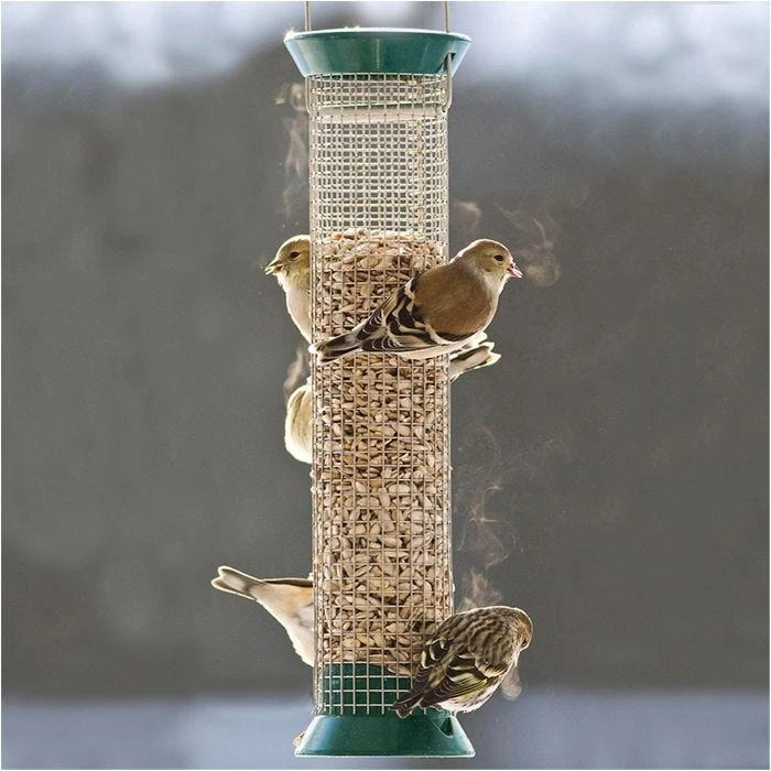 Droll Yankees® New Generation® Peanut Bird Feeder, Green - 1 Lb