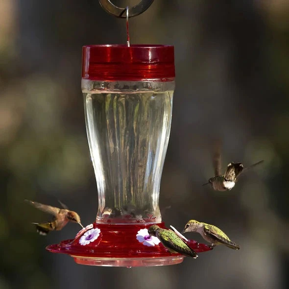 More Birds Bird Health+ Big Gulp 40 Oz. Hummingbird Feeder - Image 4