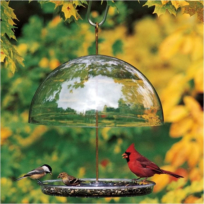 Droll Yankees® Dorothy's Cardinal Platform Bird Feeder With Adjustable Dome - 1 Lb