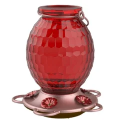 More Birds Gem Hummingbird Feeder 22 Oz.