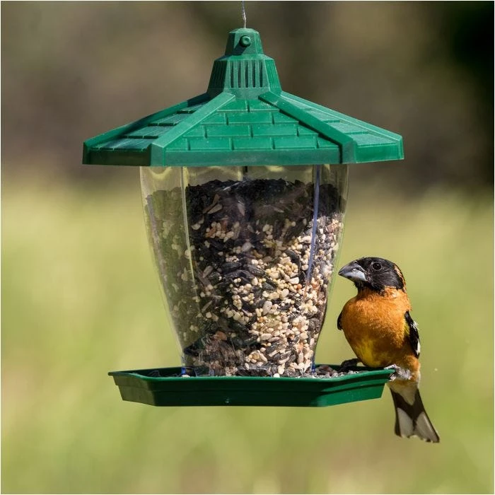 Perky-PetĀ® The Chalet Wild Bird Feeder