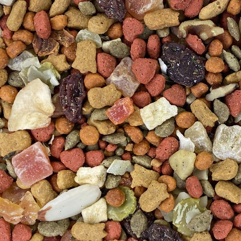 Higgins InTune Harmony Conure & Cockatiel Bird Food, 2-lb Bag - Image 2