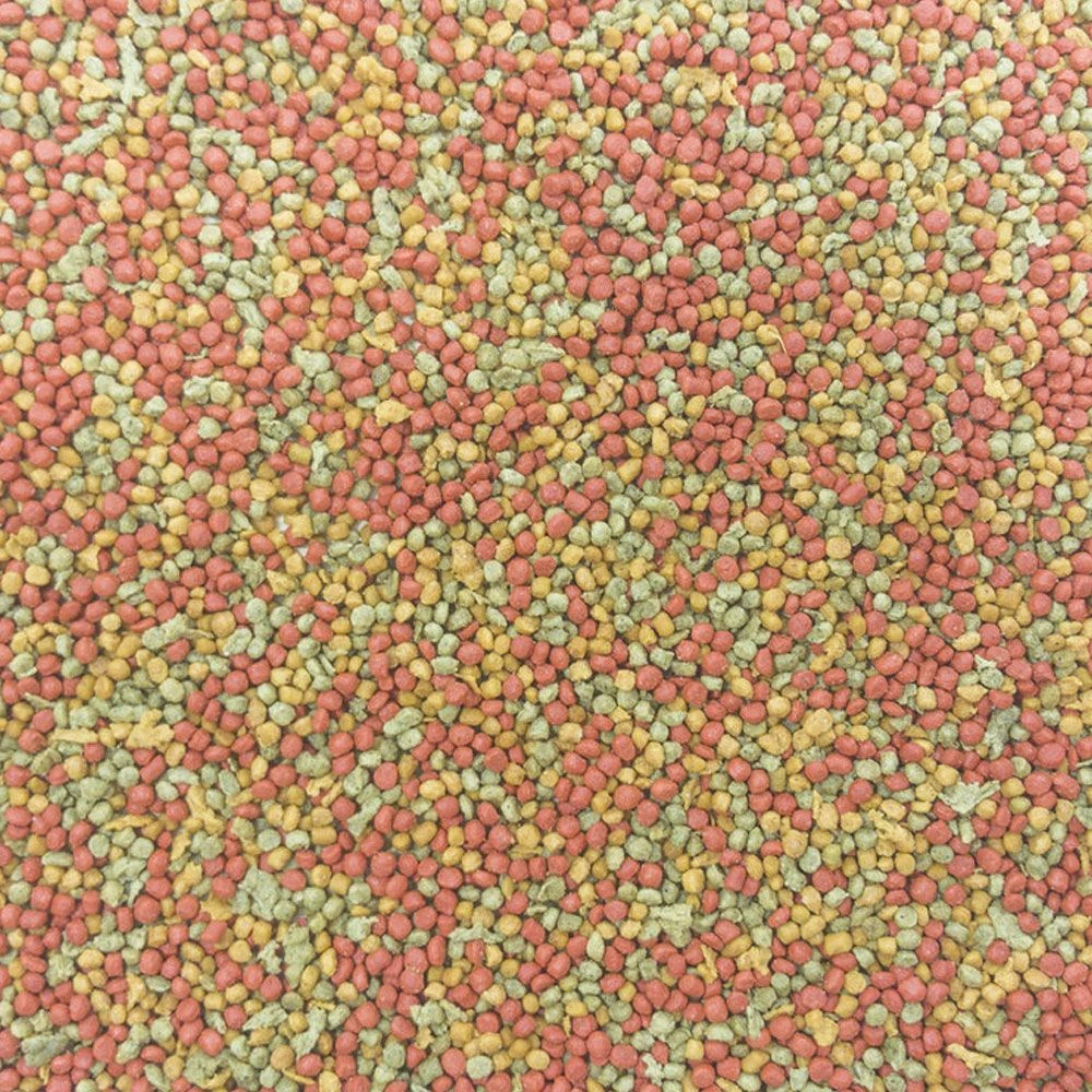 Higgins InTune Parakeet Food, 2-lb Bag - Image 2