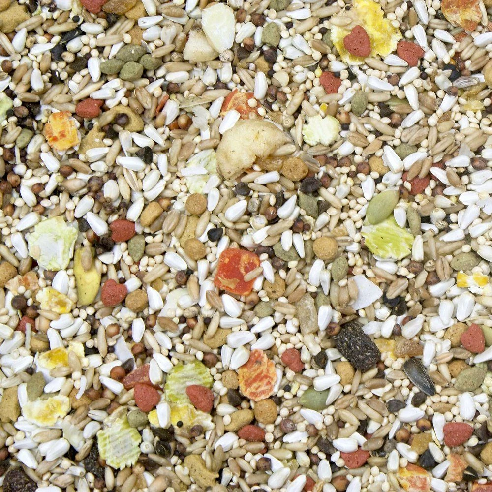 Higgins Safflower Gold Natural Mix Conure & Cockatiel Food, 3-lb Bag - Image 2