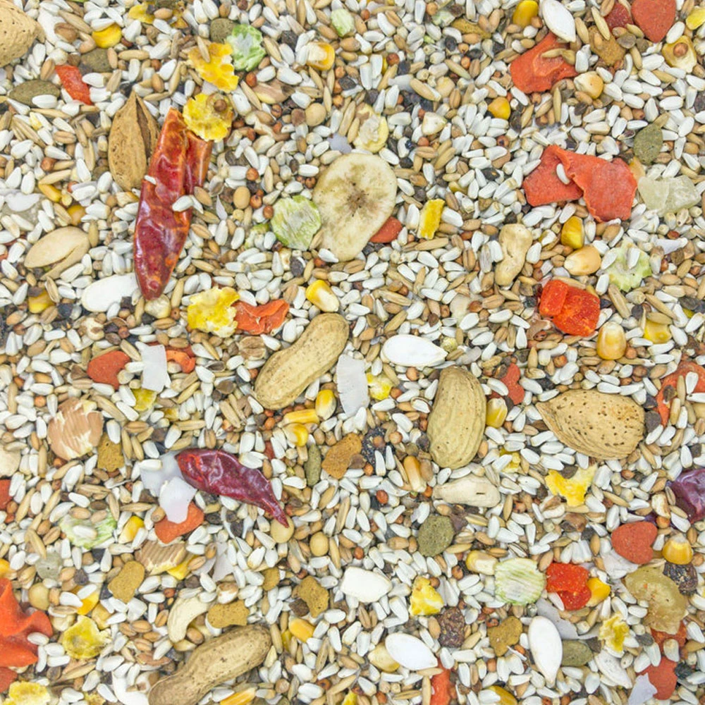 Higgins Safflower Gold Parrot Food, 3-lb Bag - Image 2