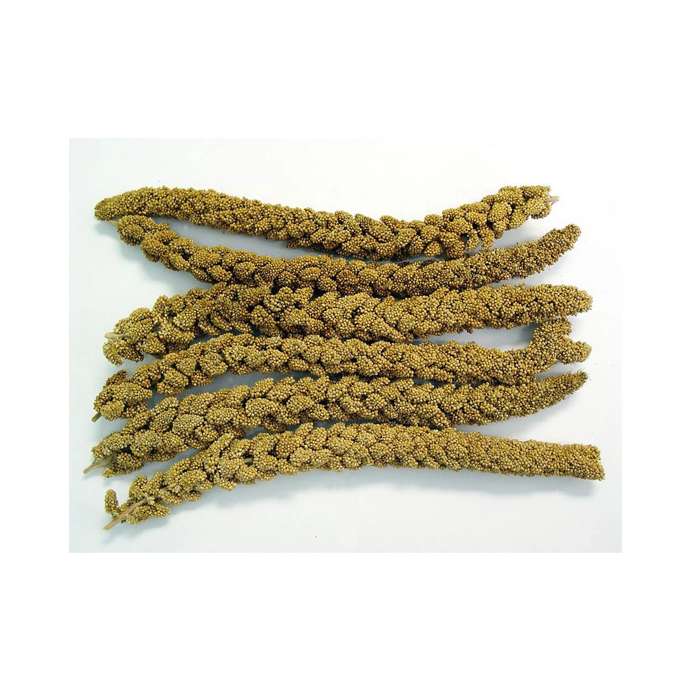 Higgins Spray Millet Bird Treats (12 Ct) - Image 2