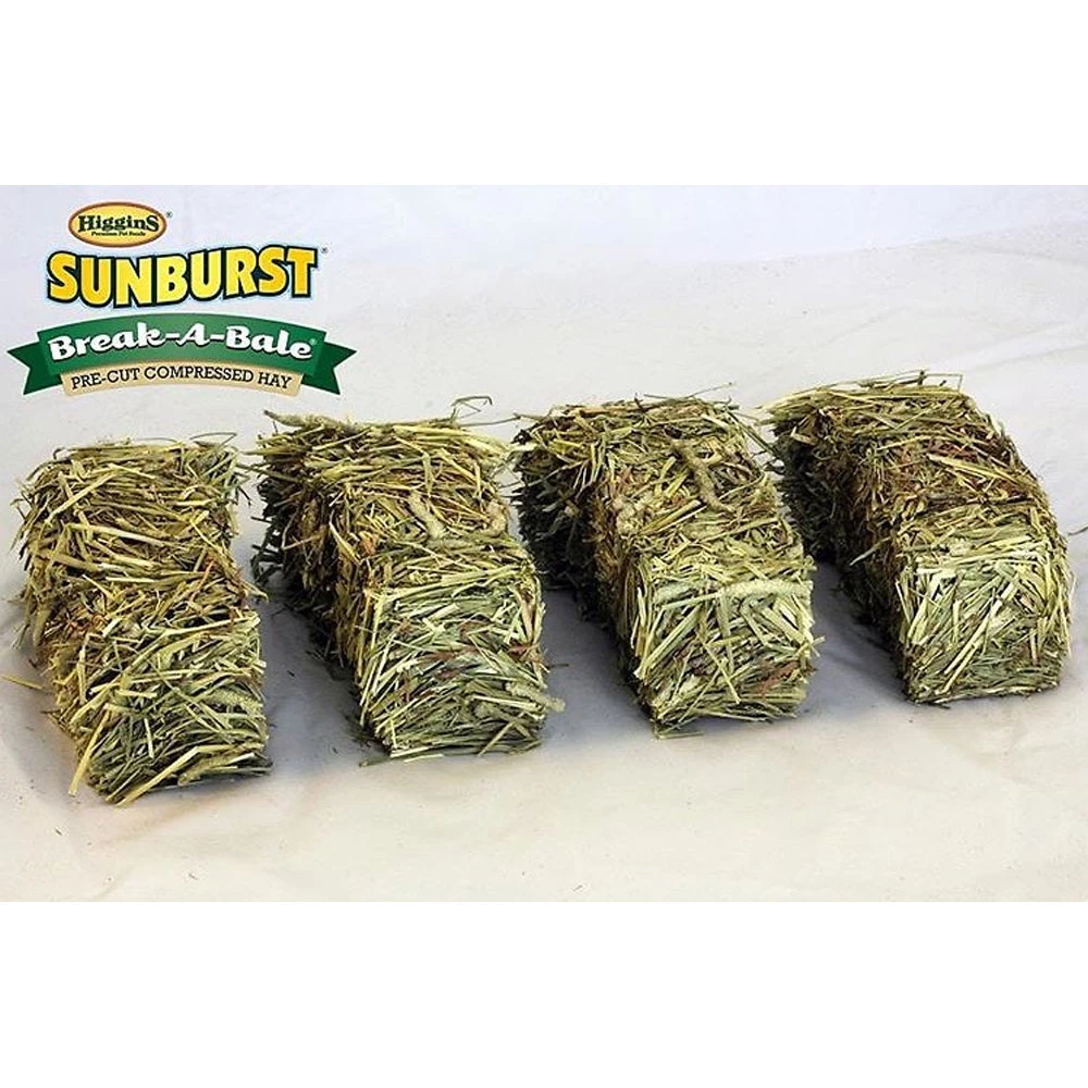 Higgins Sunburst Break-A-Bale Timothy Hay Small Animal Food, 35-oz Bag - Image 2