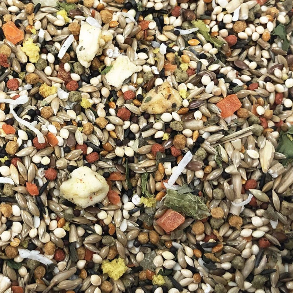 Higgins Sunburst Gourmet Blend Canary & Finch Food, 2-lb Bag - Image 2