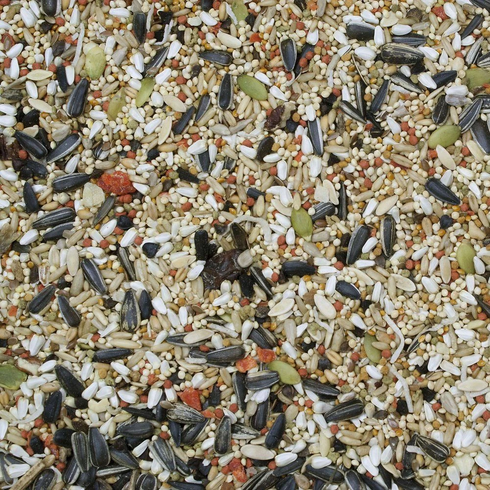 Higgins Sunburst Gourmet Blend Cockatiel Food, 3-lb Bag - Image 2