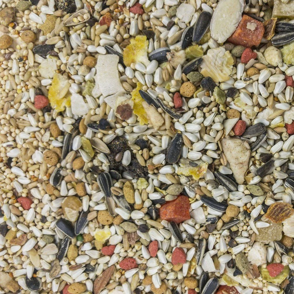 Higgins Sunburst Gourmet Blend Conure Food, 3-lb Bag - Image 2