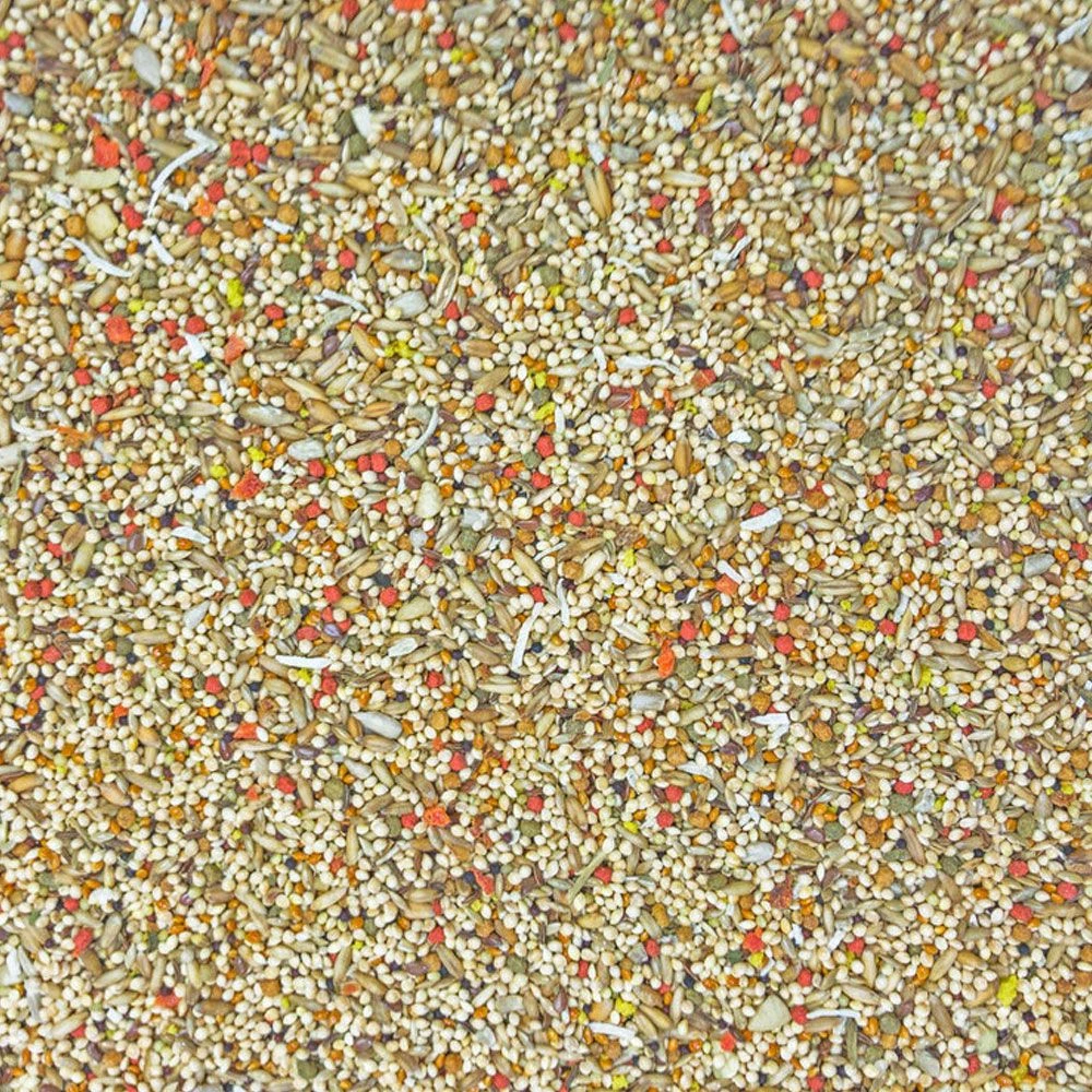 Higgins Sunburst Gourmet Blend Parakeet Food, 2-lb - Image 2