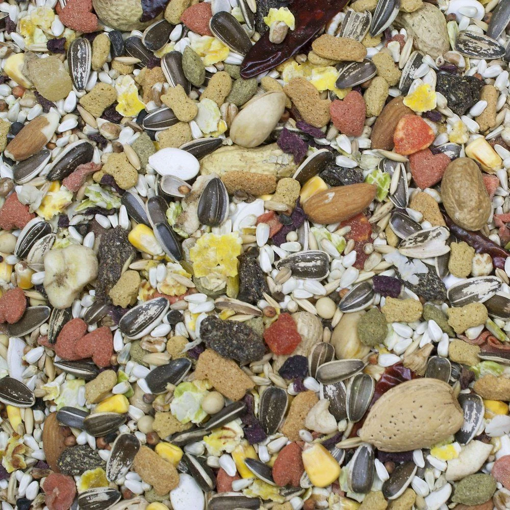 Higgins Sunburst Gourmet Blend Parrot Food, 25-lb Bag - Image 2